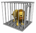 Gif animé lion en cage